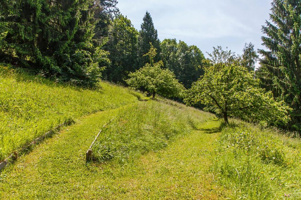 Caritas Tagungszentrum Freiburg im Breisgau Dış mekan fotoğraf